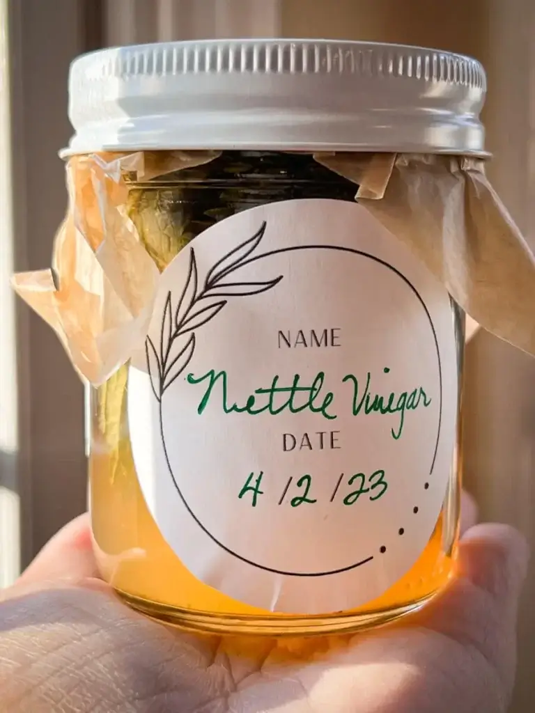 freshly made nettle vinegar in a mason jar with an apothecary label