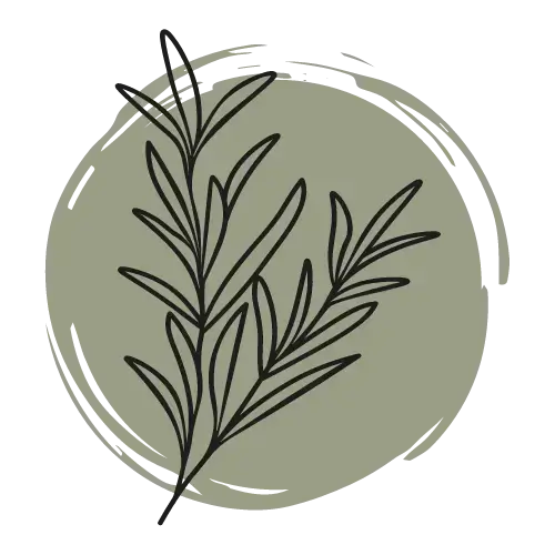 rosemary sprig on an olive background