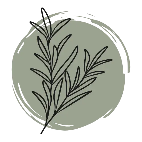 Rosemary sprig on a circular olive green background